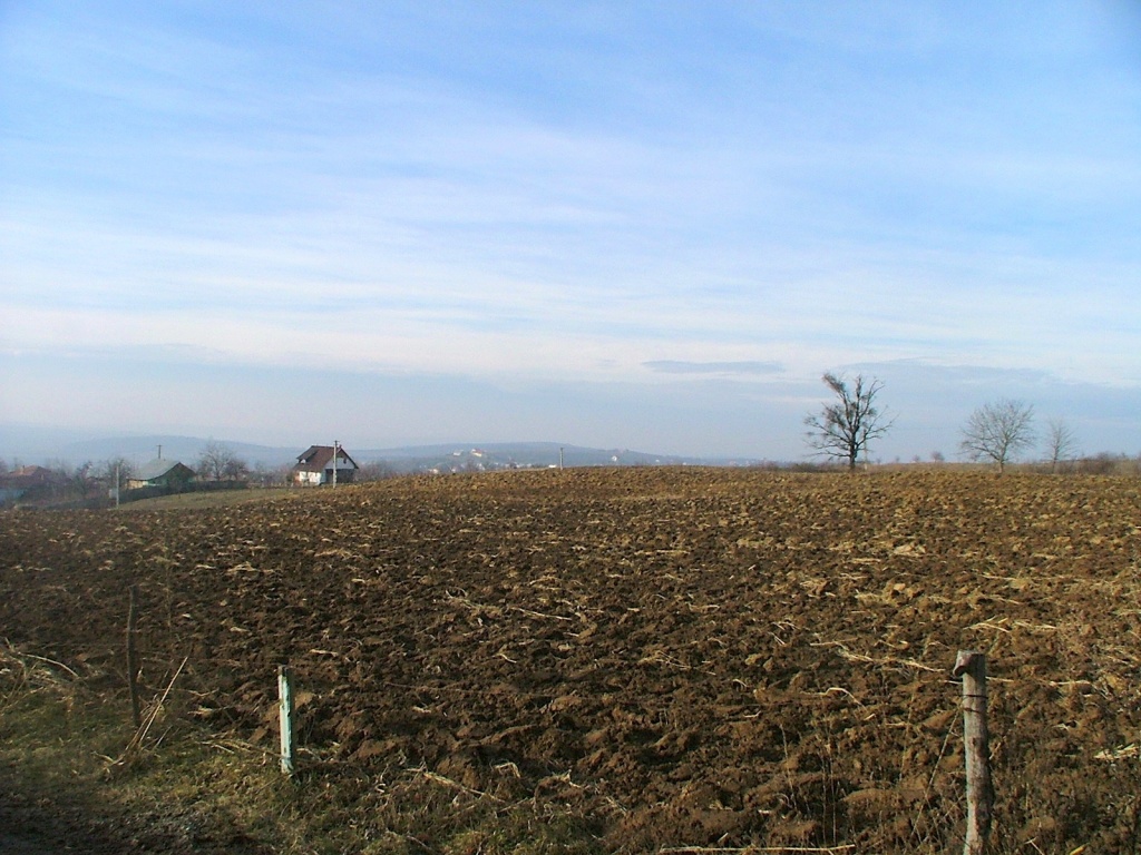 Pământ reavăn